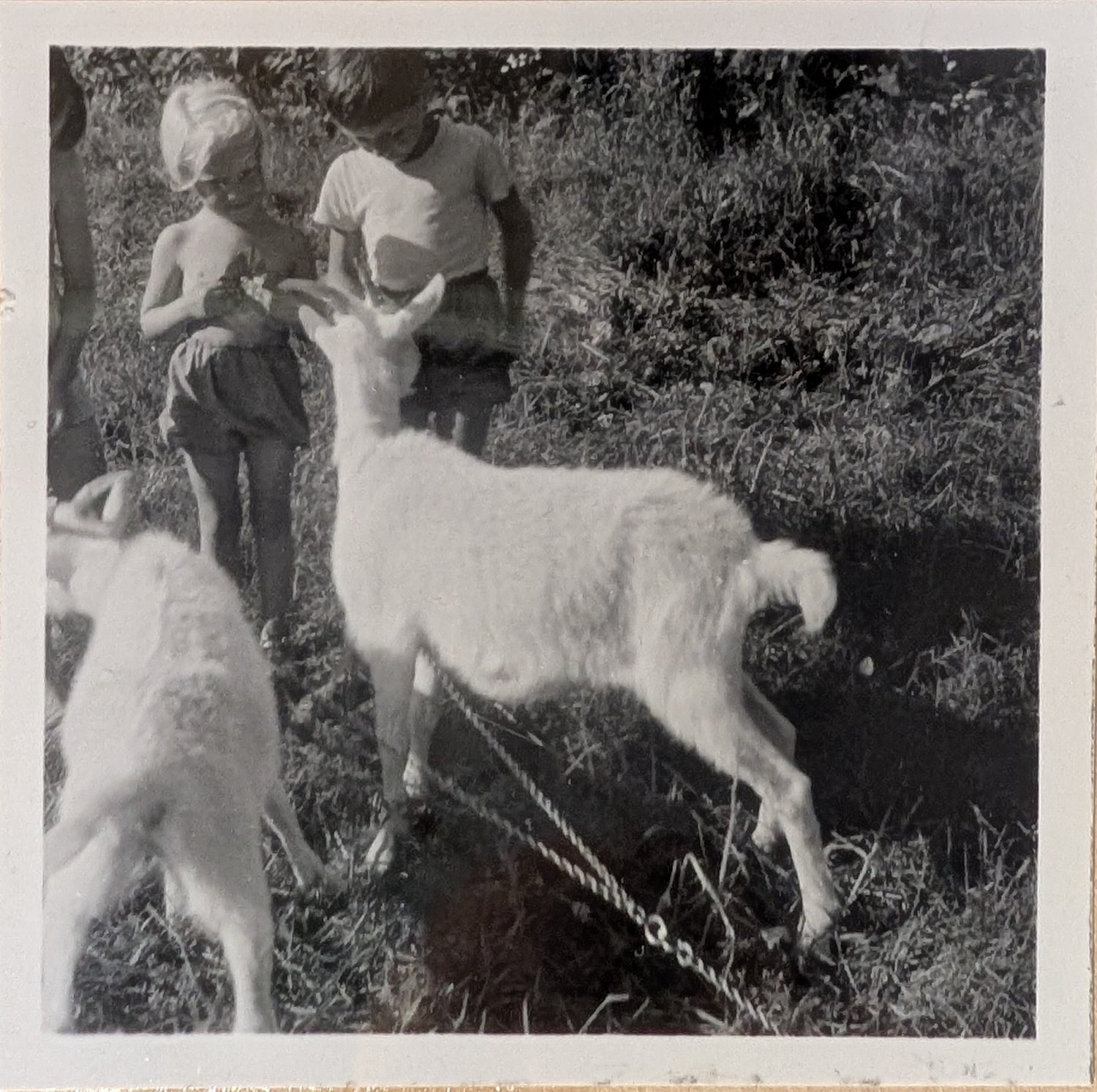 Arkivbild från Brevik, 1950-tal