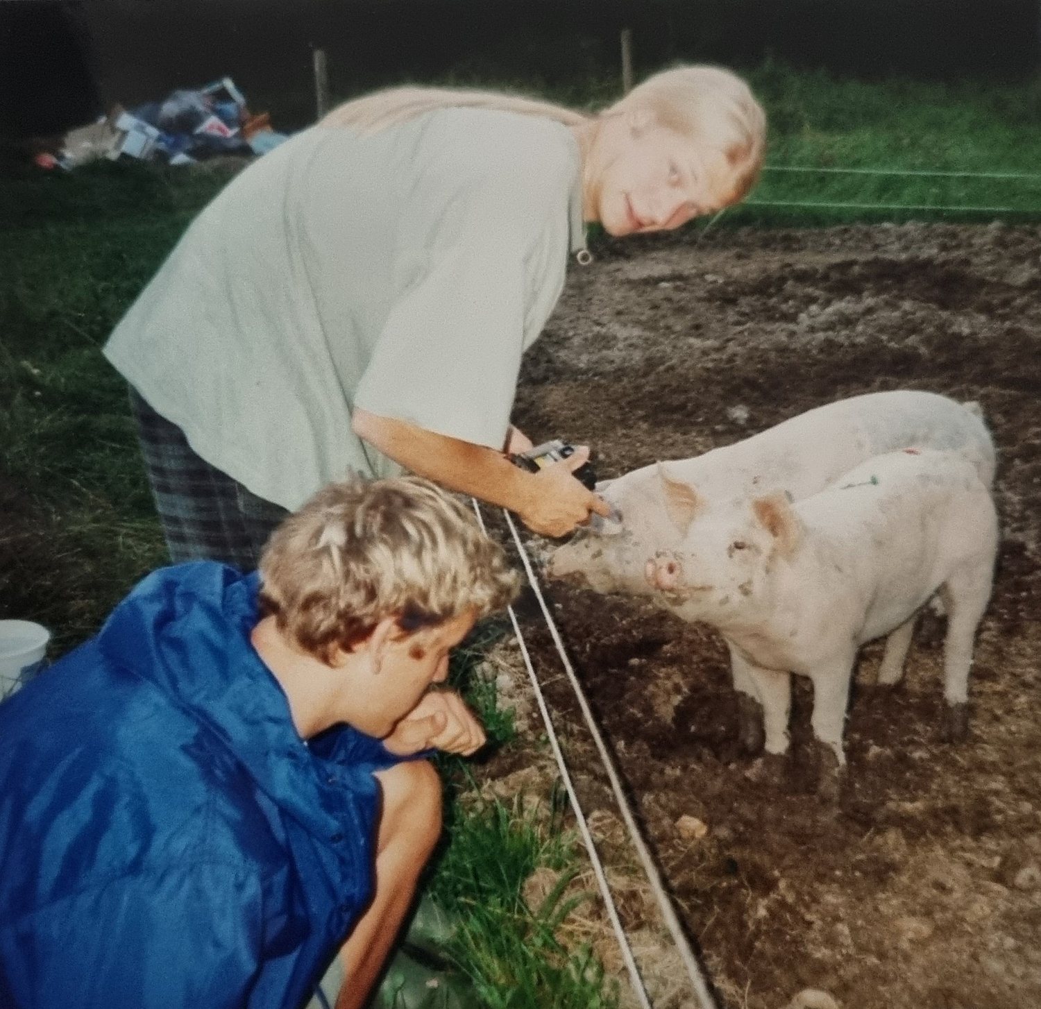 Erik Mörtberg och Martin Emtenäs matar grisarna.